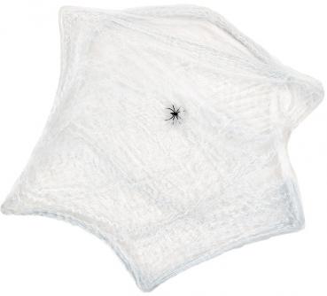 Spinnennetz mit 1 Spinne weiss