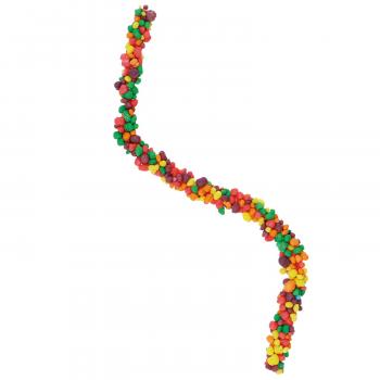 Nerds Rope Rainbow 26g