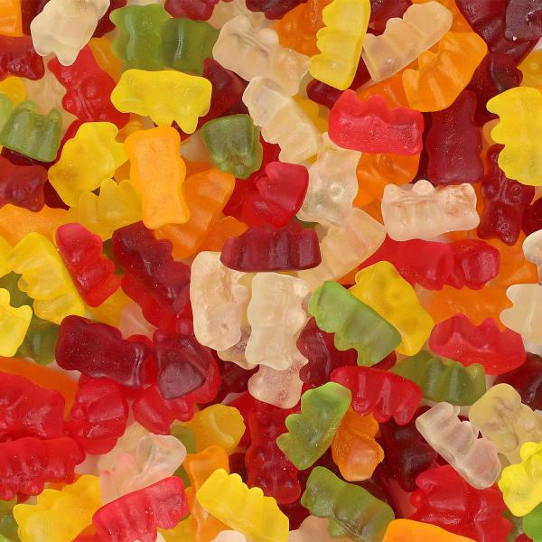 Frisia Bears 100g Zuckerfreies Fruchtgummi